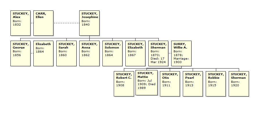 3 generation Stuckey family tree